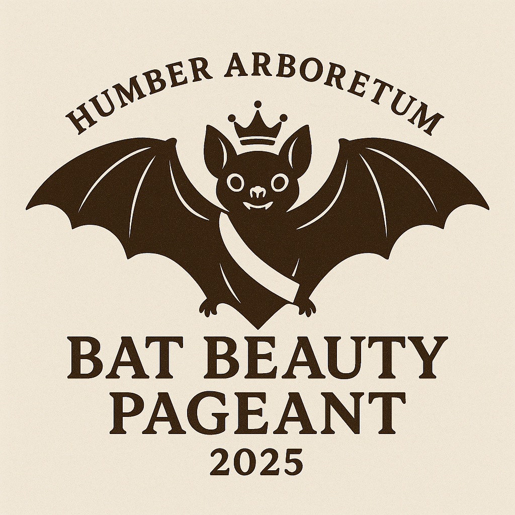 Bat beauty pageant promo poster with bat image