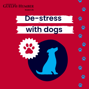 De-Stress with dogs