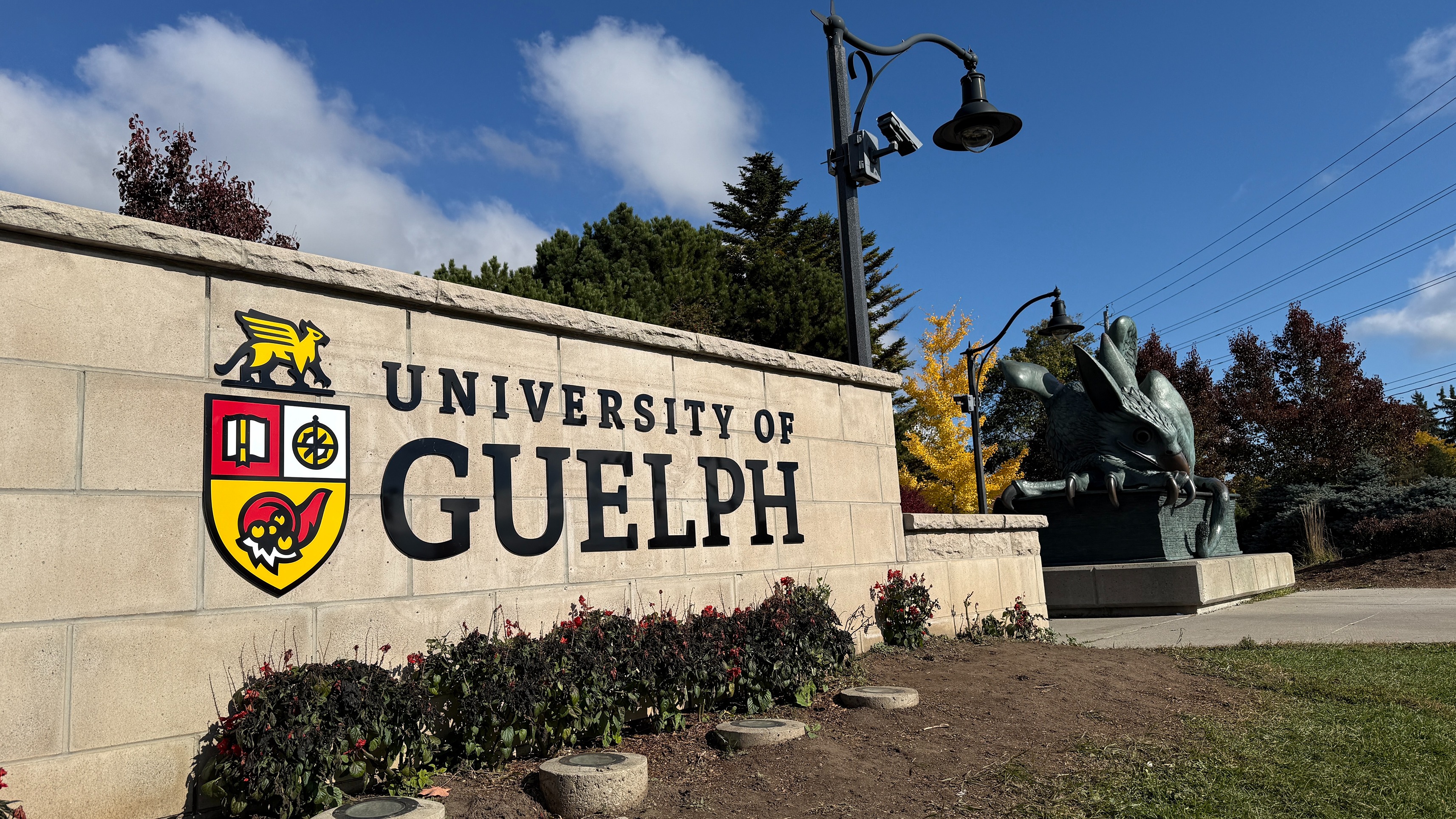 University of Guelph logo on a stone wall