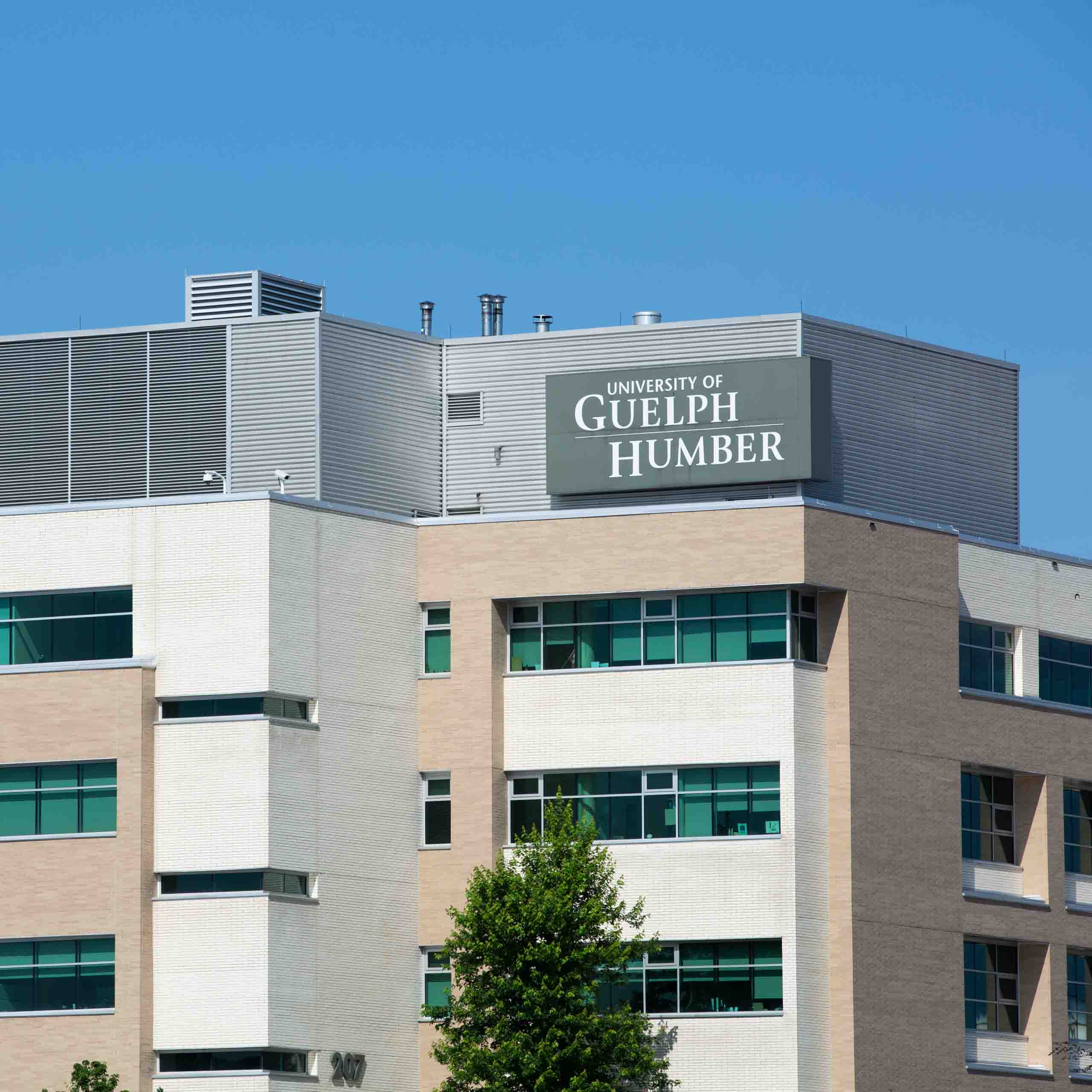 Building with University of Guelph-Humber sign