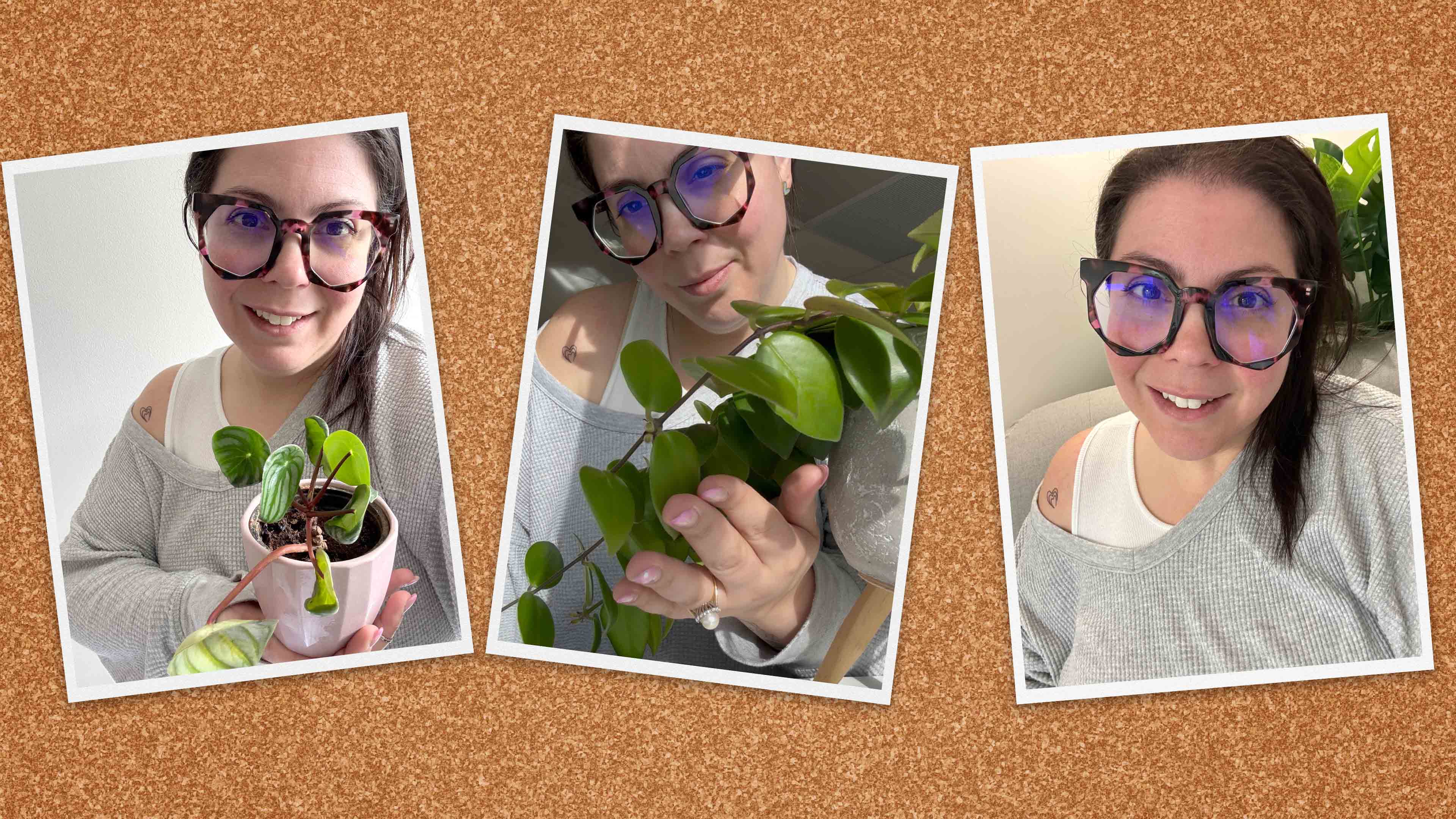 Three photos of Dr. Elena Merenda are displayed on a corkboard as she wears a grey sweater and holds a plant