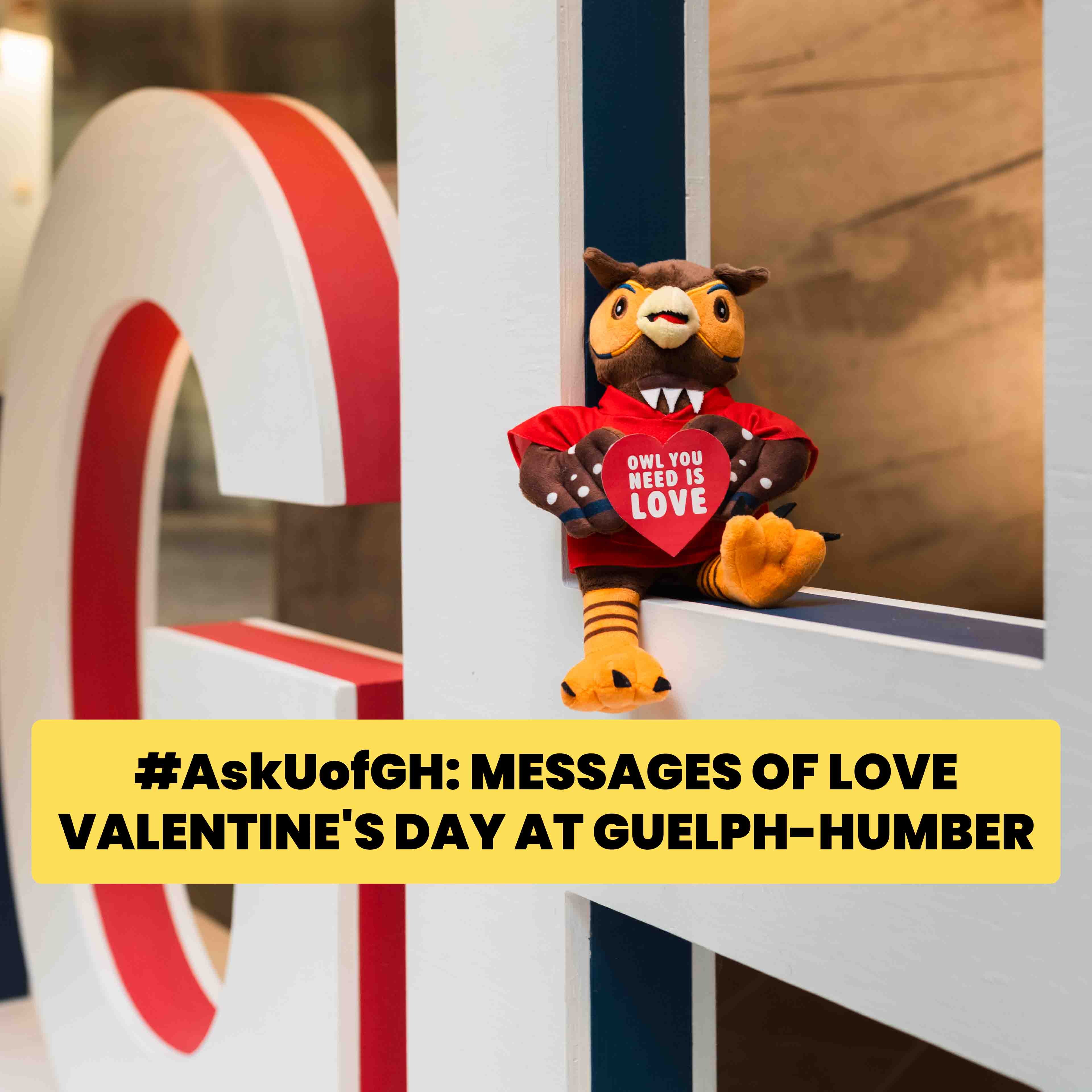 Stuffed toy owl holding heart sitting on large U of GH letters