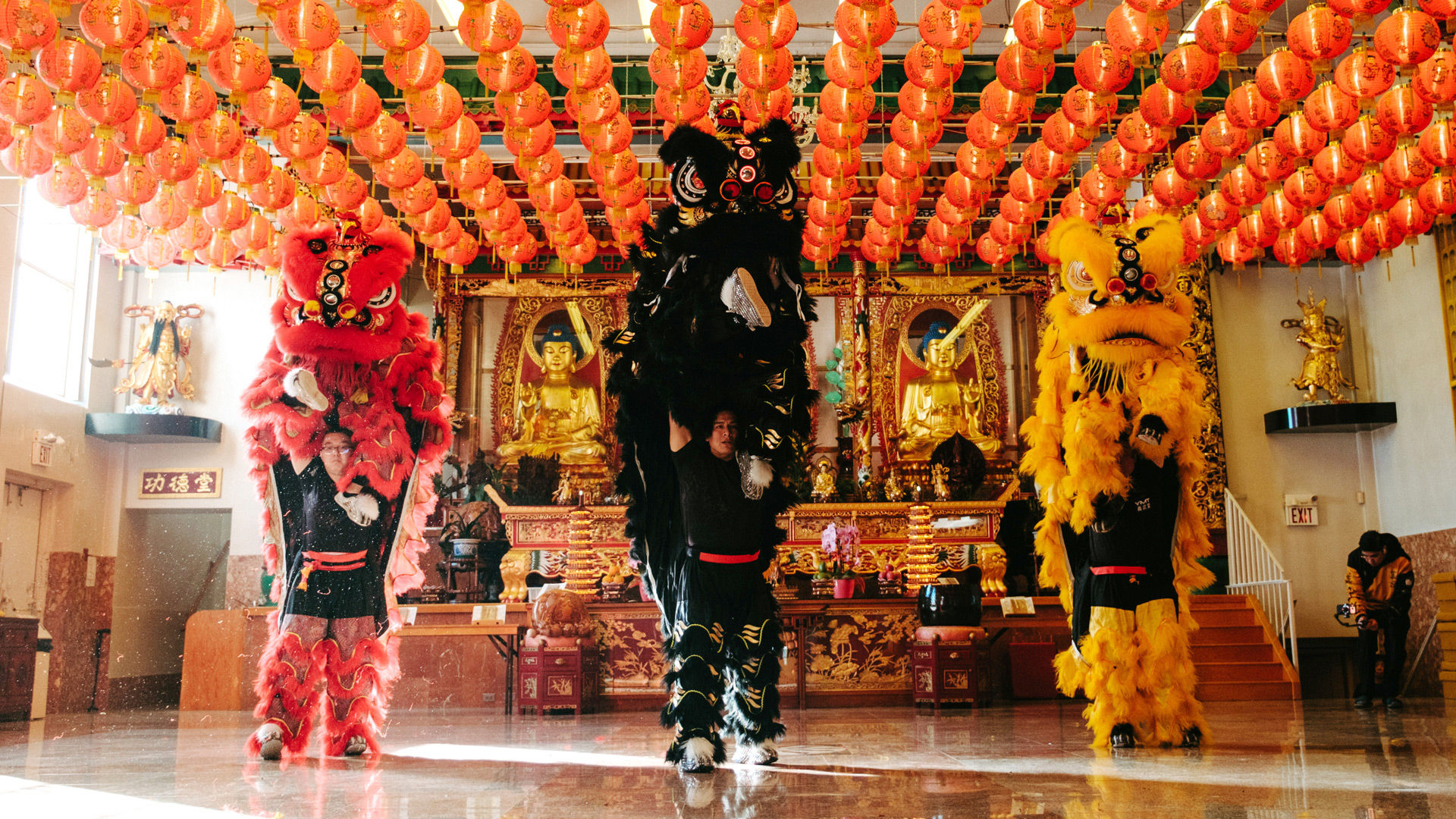 Liondancers appear in a colourful temple