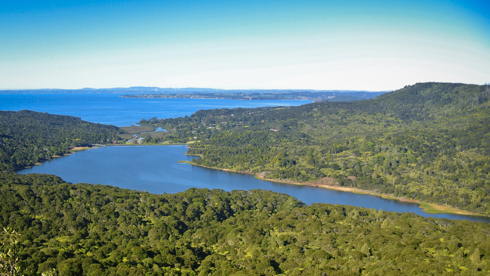 Body of water in New Zealand