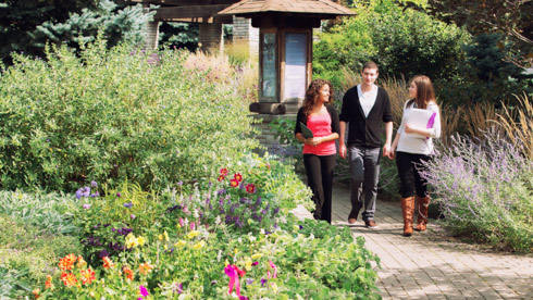 Students walking in arboretum