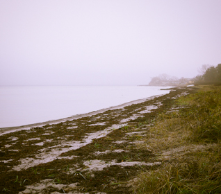 Nature classroom consisting of a seascape 