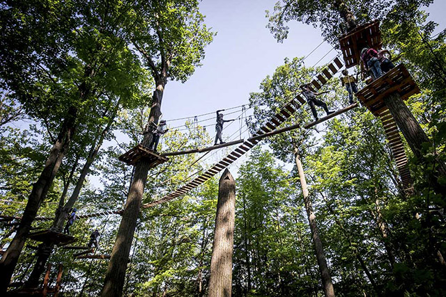 A UofGH alum carefully walks across a high bridge